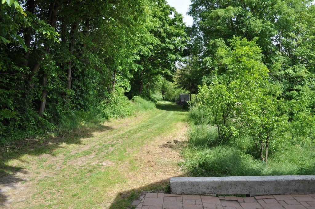 Ferienwohnung Kaestle Bad Bergzabern Exterior foto